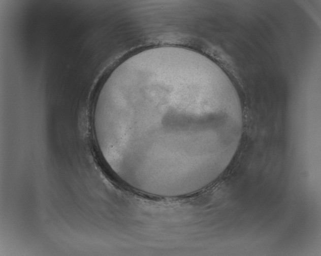 X0000073890012200608251443