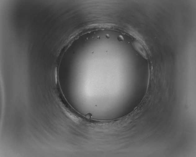 X0000073890013200608251443