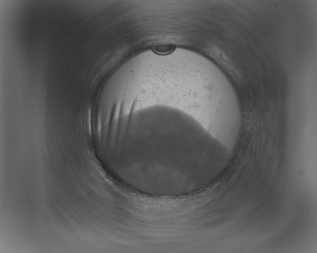 X0000073890014200608251443