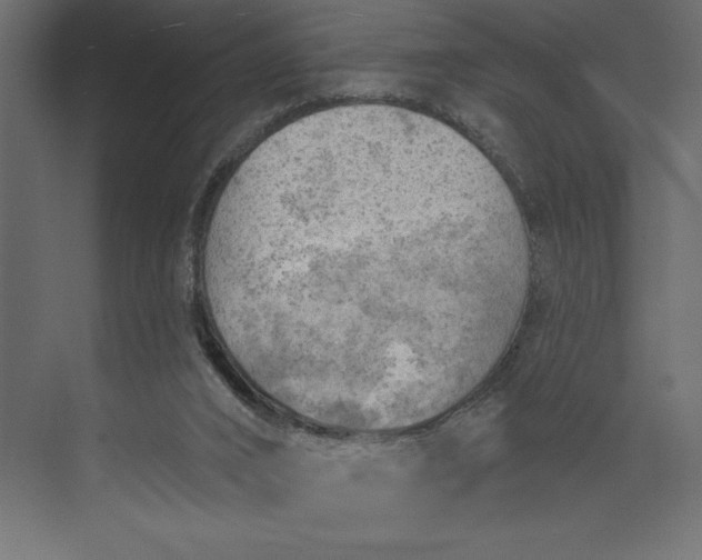 X0000073890016200608251443