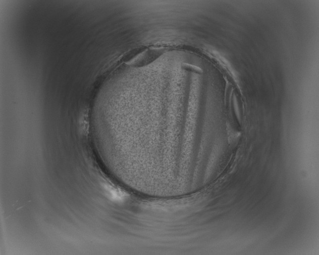 X0000073890017200608251443