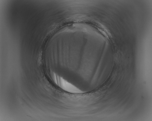 X0000073890018200608251443