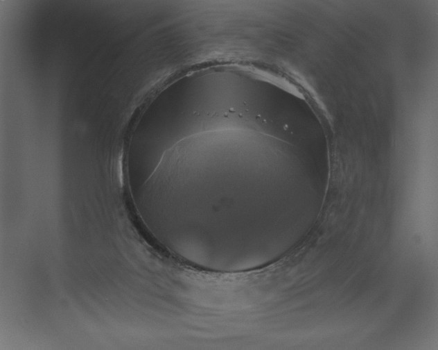 X0000073890019200608251443