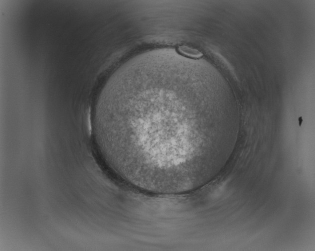 X0000073890020200608251443