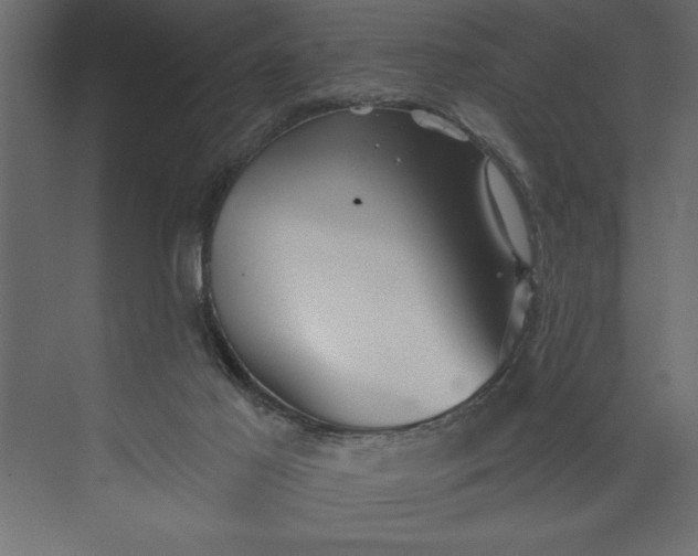 X0000073890021200608251443