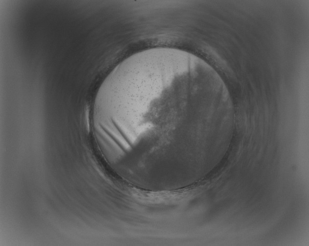 X0000073890022200608251443