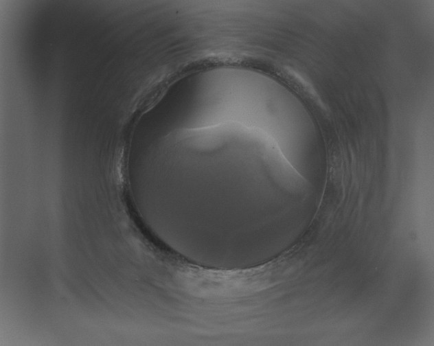 X0000073890023200608251443