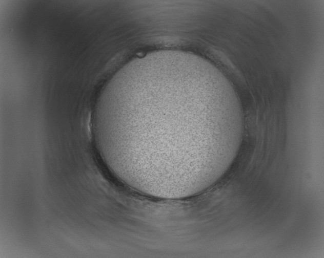 X0000073890024200608251443