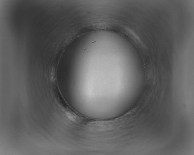 X0000073890025200608251443