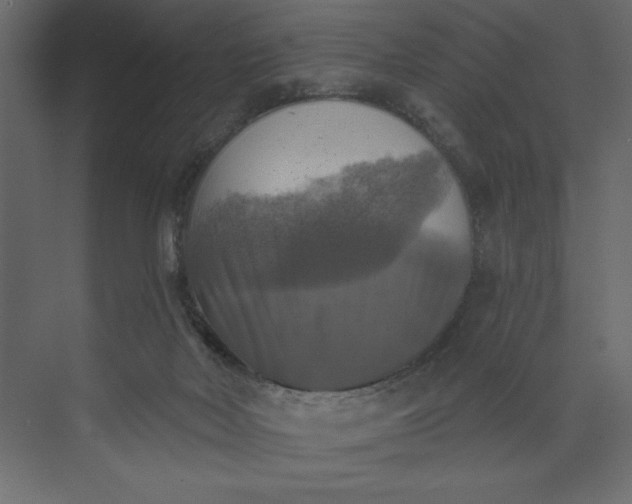 X0000073890026200608251443