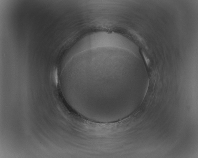 X0000073890027200608251443