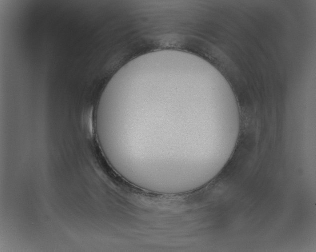 X0000073890028200608251443