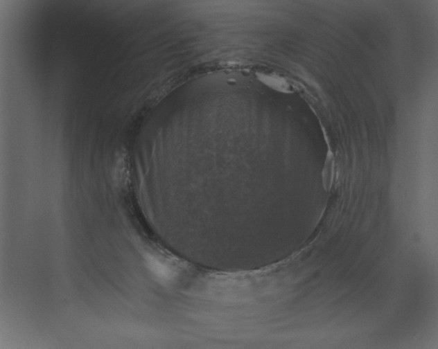 X0000073890029200608251443