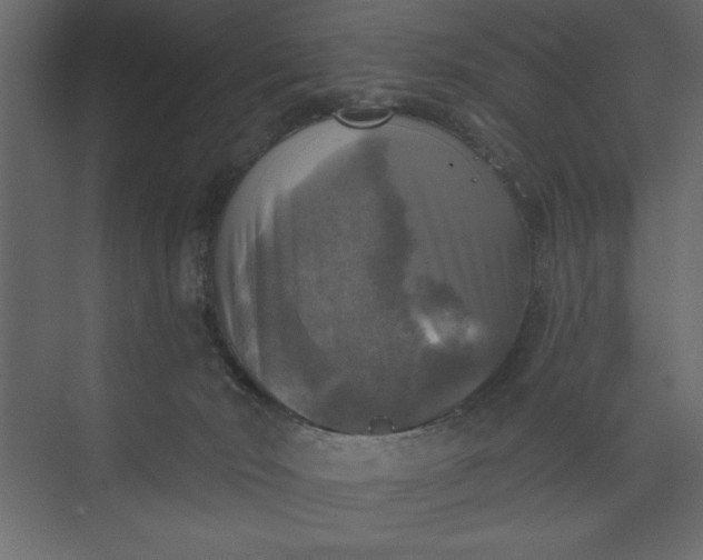 X0000073890030200608251443