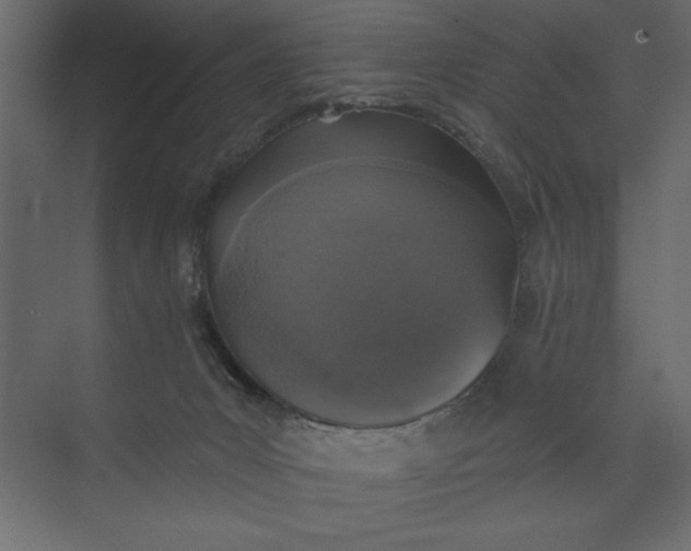 X0000073890031200608251443