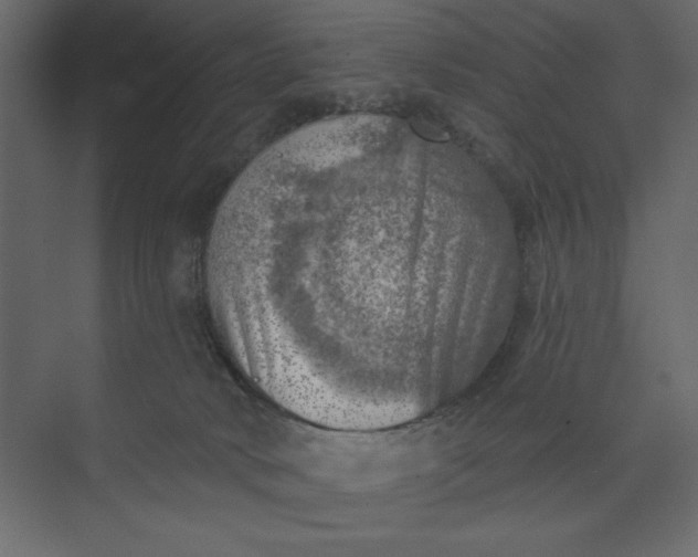 X0000073890034200608251443