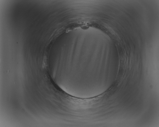 X0000073890035200608251443