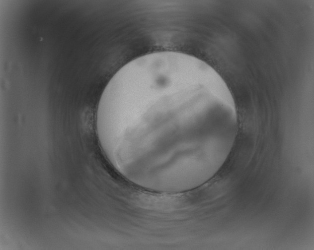 X0000073890036200608251443