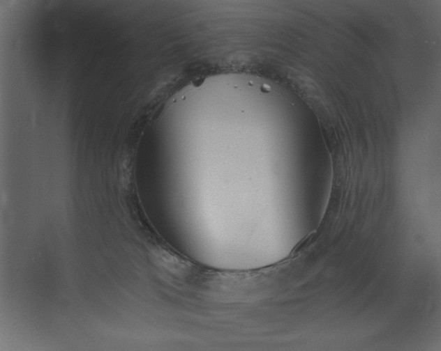 X0000073890037200608251443