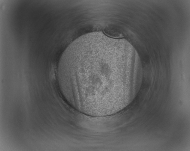 X0000073890038200608251443