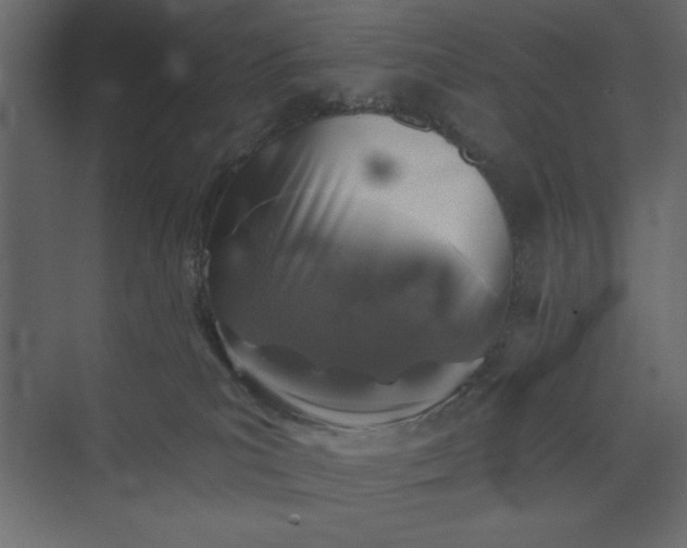 X0000073890039200608251443