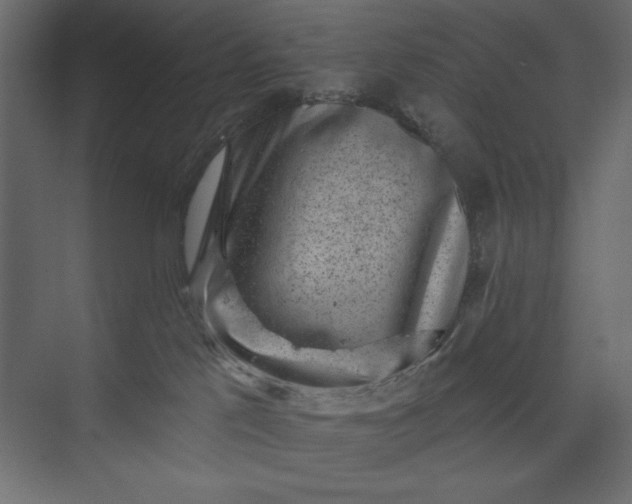 X0000073890041200608251443