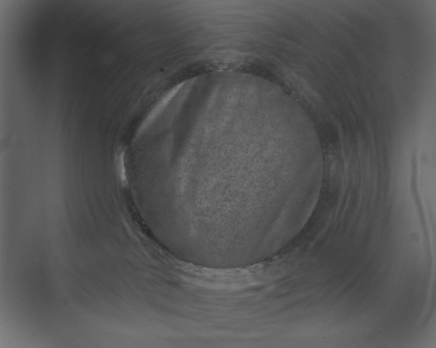 X0000073890042200608251443