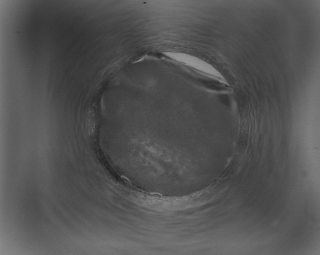 X0000073890043200608251443