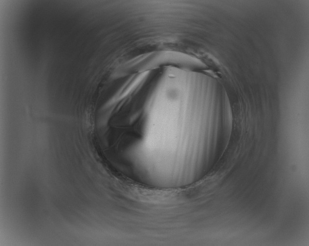 X0000073890044200608251443