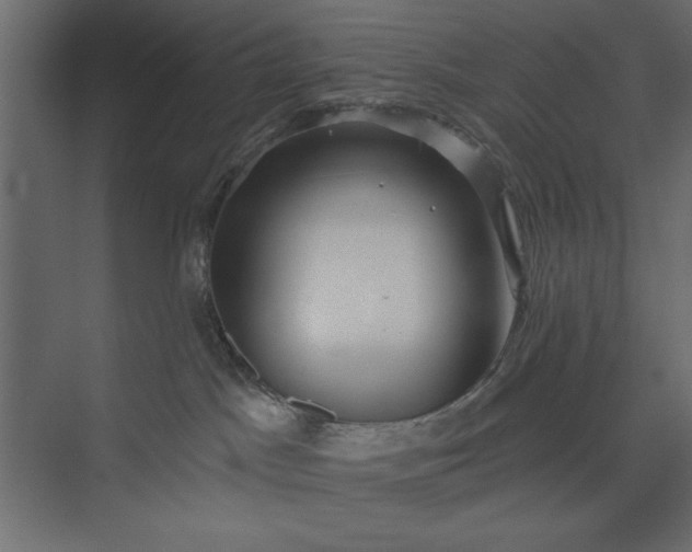 X0000073890045200608251443