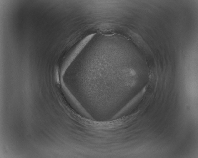 X0000073890046200608251443