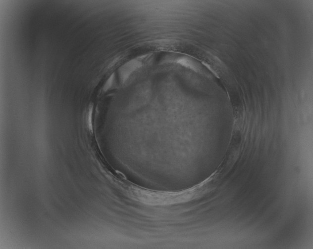 X0000073890047200608251443