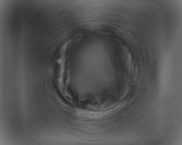 X0000073890048200608251442