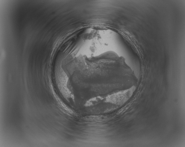 X0000073890049200608251442