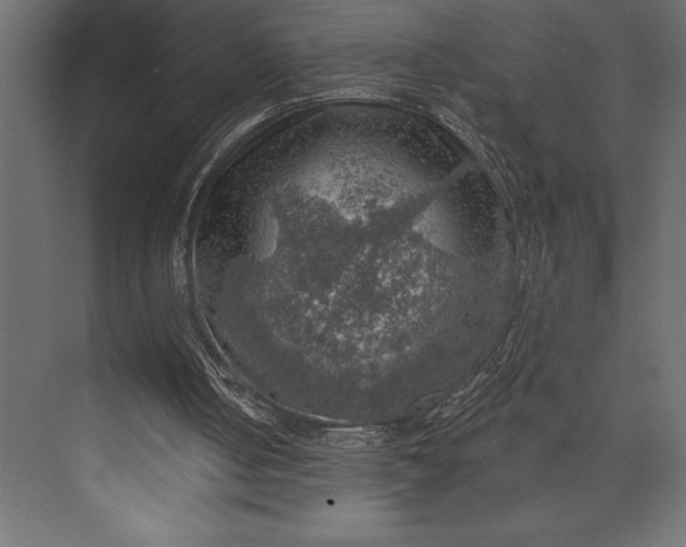 X0000073890050200608251442