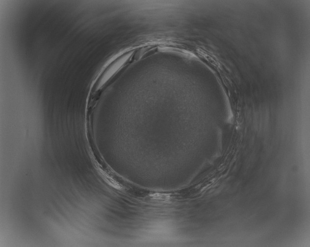 X0000073890052200608251442