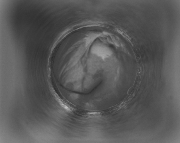 X0000073890053200608251442