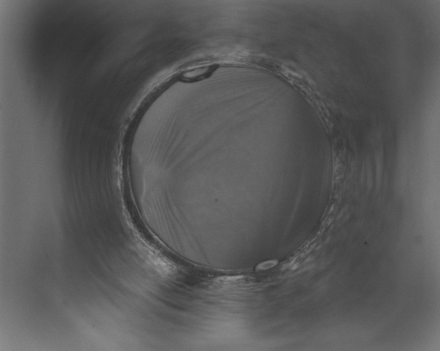 X0000073890054200608251442