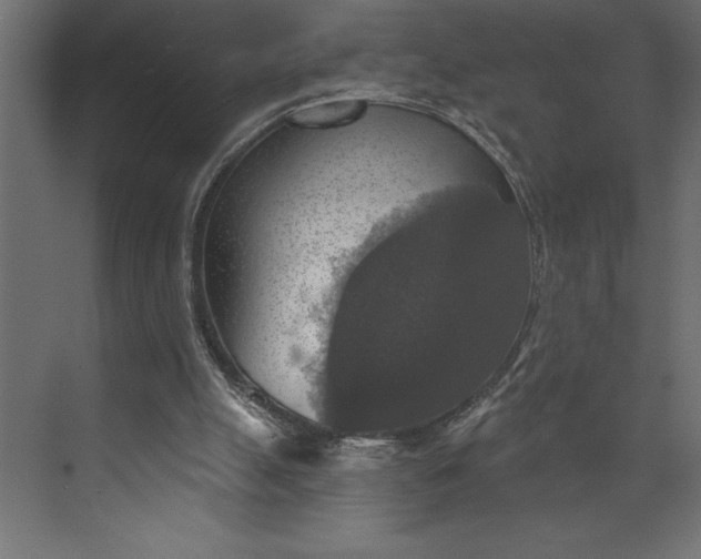 X0000073890055200608251442