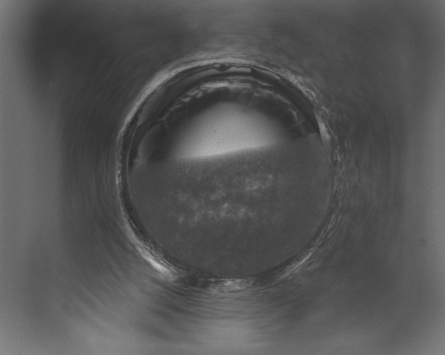 X0000073890056200608251442