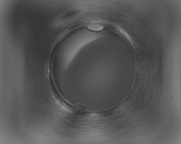 X0000073890059200608251442