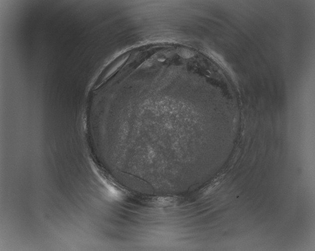 X0000073890060200608251442