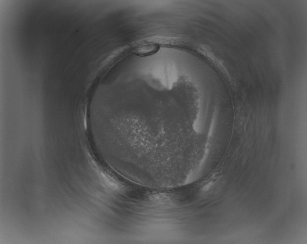 X0000073890062200608251442