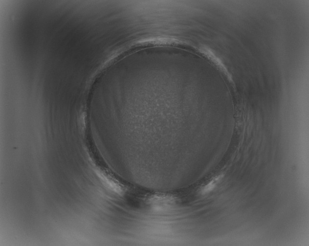 X0000073890063200608251442