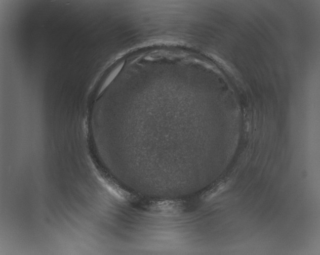 X0000073890064200608251442