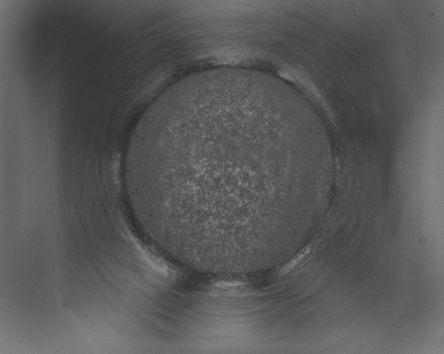 X0000073890066200608251442