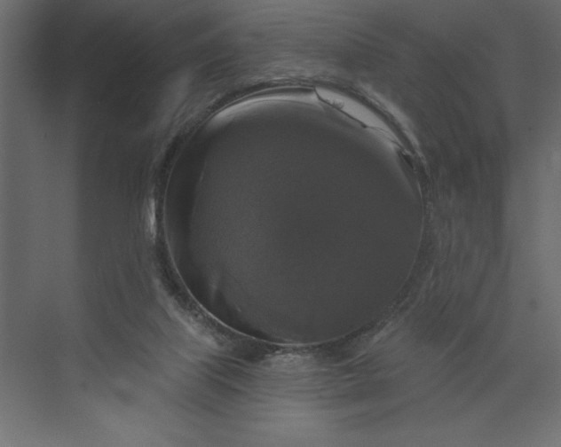 X0000073890067200608251442