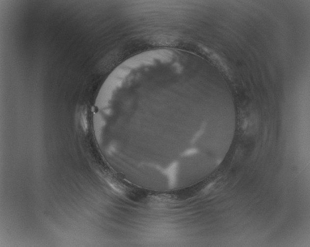 X0000073890069200608251442