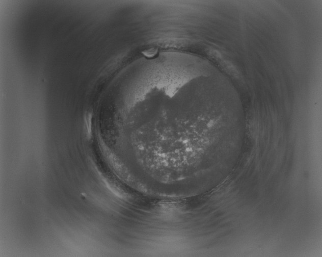 X0000073890070200608251442