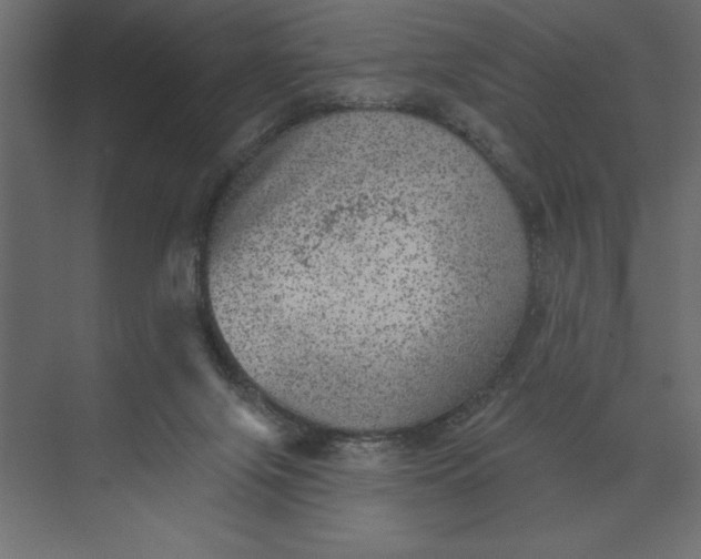 X0000073890071200608251442